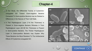 Chapter-4
 In Our Study, the Differential Toxicity of Cystamine-
conjugated GO Toward Gram-negative Bacteria
Compared To Gram-positive Bacteria may be Related to
Differences in the Natures of Their Cell Walls.
 A Thin Peptidoglycan Layer (7−8 Nm Thickness) is
Present in Gram-negative Bacteria Whereas A Thick
Peptidoglycan Layer (20−80 Nm Thickness) is Present
in Gram-positive Bacteria. The Thicker Peptidoglycan
Layer in Gram-positive Bacteria may Explain Why
These Bacteria Are More Resistant To The Antibacterial
Effects Of Cystamine-conjugated GO.
28
 