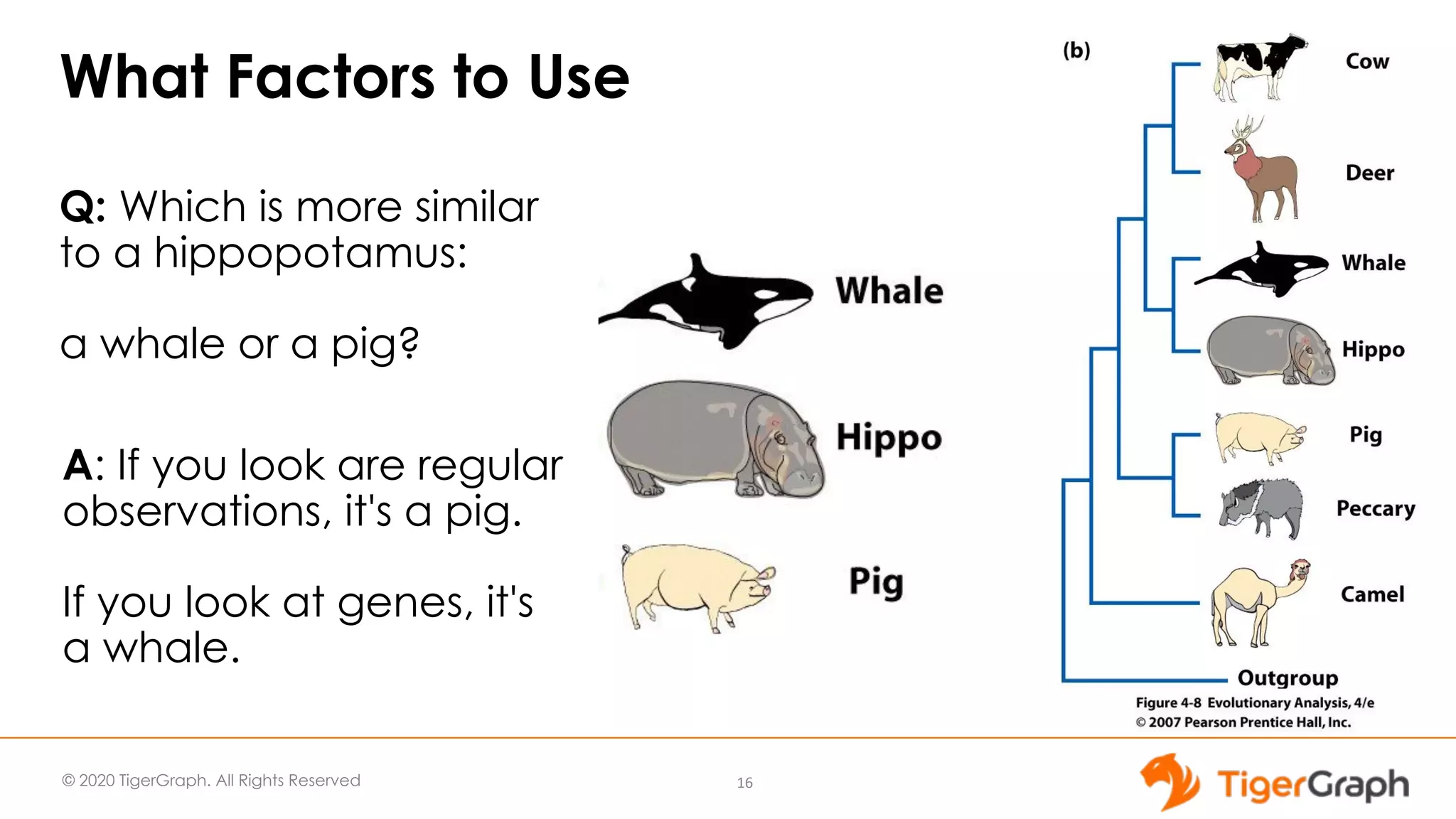 © 2020 TigerGraph. All Rights Reserved What Factors to Use 16 Q: Which is more similar to a hippopotamus: a whale or a pig? A: If you look are regular observations, it's a pig. If you look at genes, it's a whale. 