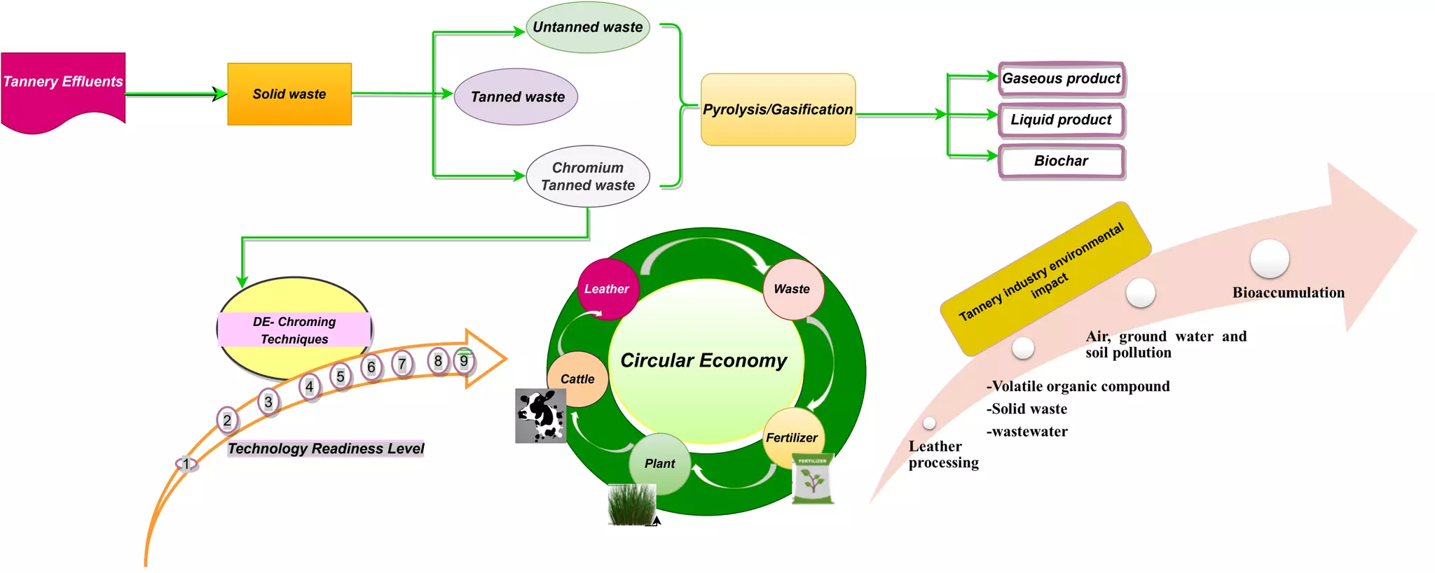 Tannery Effluents
Solid waste
Untanned waste
Chromium
Tanned waste
Tanned waste
Pyrolysis/Gasification
Circular Economy
Leather Waste
Fertilizer
Plant
Cattle
DE- Chroming
Techniques
Technology Readiness Level
1
2
9
8
6 7
5
4
3
Gaseous product
Liquid product
Biochar
Tannery industry environmental
impact