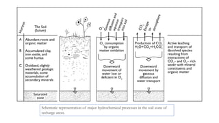 Schematic representation of major hydrochemical processes in the soil zone of
recharge areas.
 