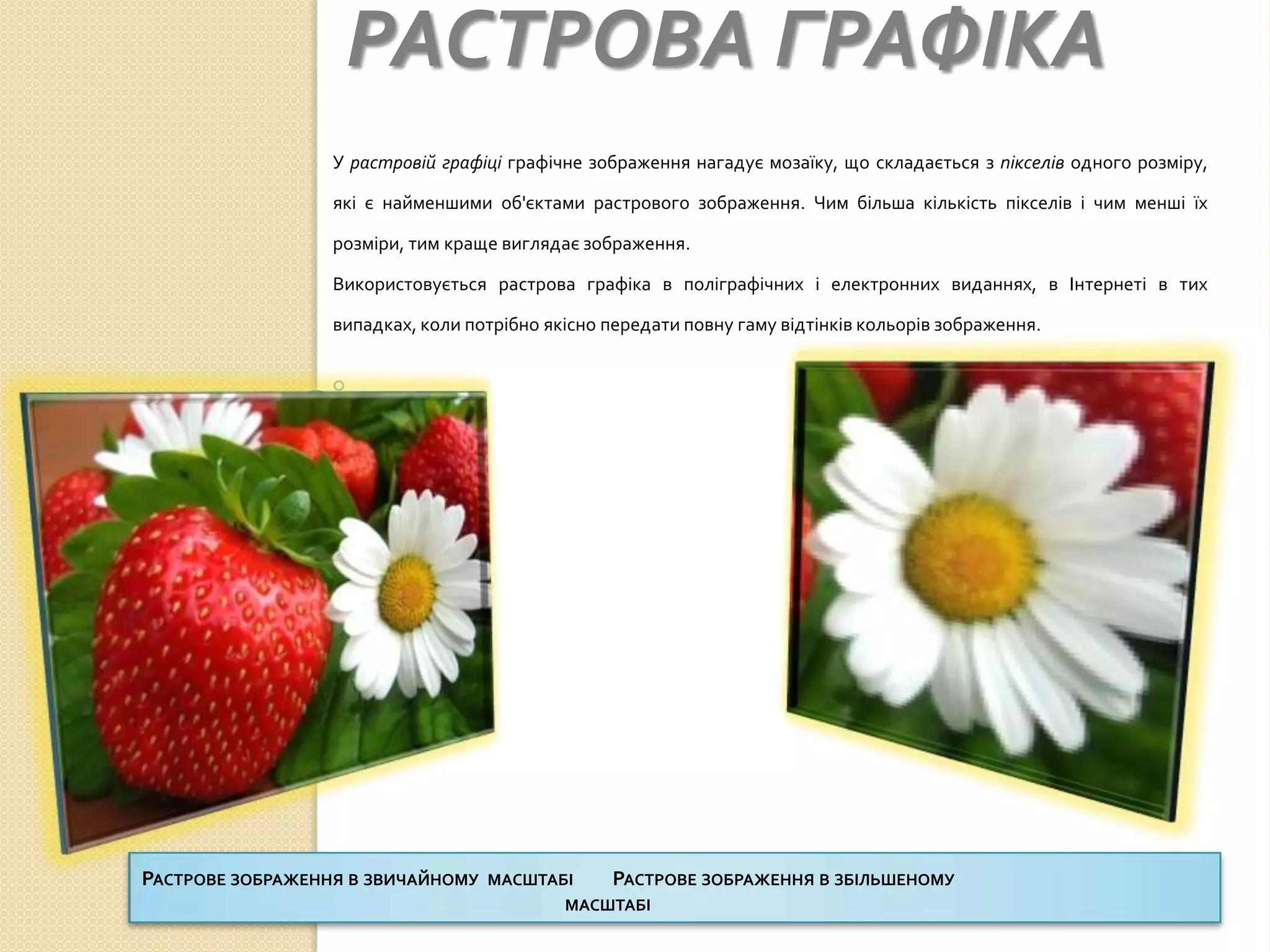 РАСТРОВА ГРАФІКА
                  У растровій графіці графічне зображення нагадує мозаїку, що складається з пікселів одного розміру,

                  які є найменшими об'єктами растрового зображення. Чим більша кількість пікселів і чим менші їх

                  розміри, тим краще виглядає зображення.

                  Використовується растрова графіка в поліграфічних і електронних виданнях, в Інтернеті в тих

                  випадках, коли потрібно якісно передати повну гаму відтінків кольорів зображення.




РАСТРОВЕ ЗОБРАЖЕННЯ В ЗВИЧАЙНОМУ   МАСШТАБІ   РАСТРОВЕ ЗОБРАЖЕННЯ В ЗБІЛЬШЕНОМУ
                                          МАСШТАБІ
 