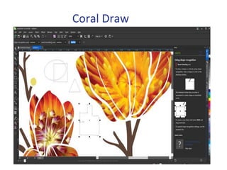 Coral Draw
 
