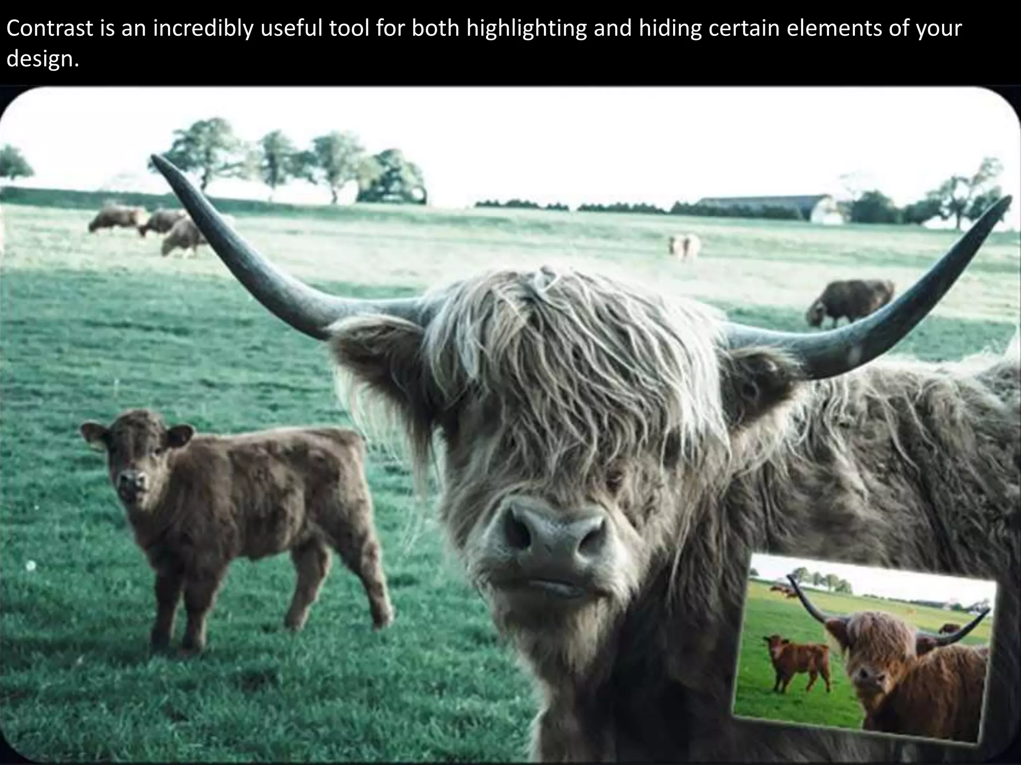 Contrast is an incredibly useful tool for both highlighting and hiding certain elements of your
design.
 