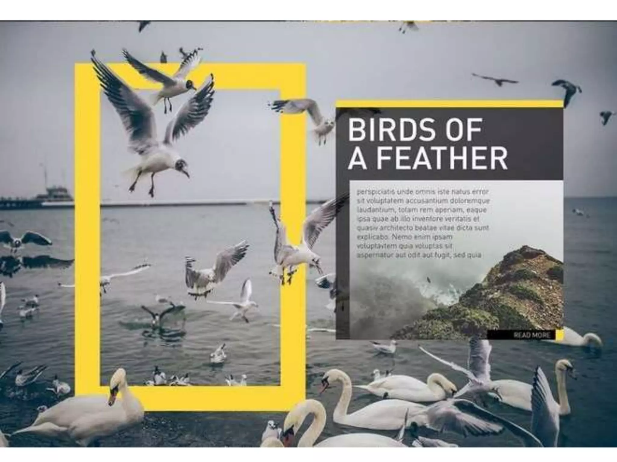 The rule of thirds is a simple
technique where designers divide
their designs up into three rows
and three columns, and at the
points where the vertical and
horizontal lines meet is where
your focal points should be.
 