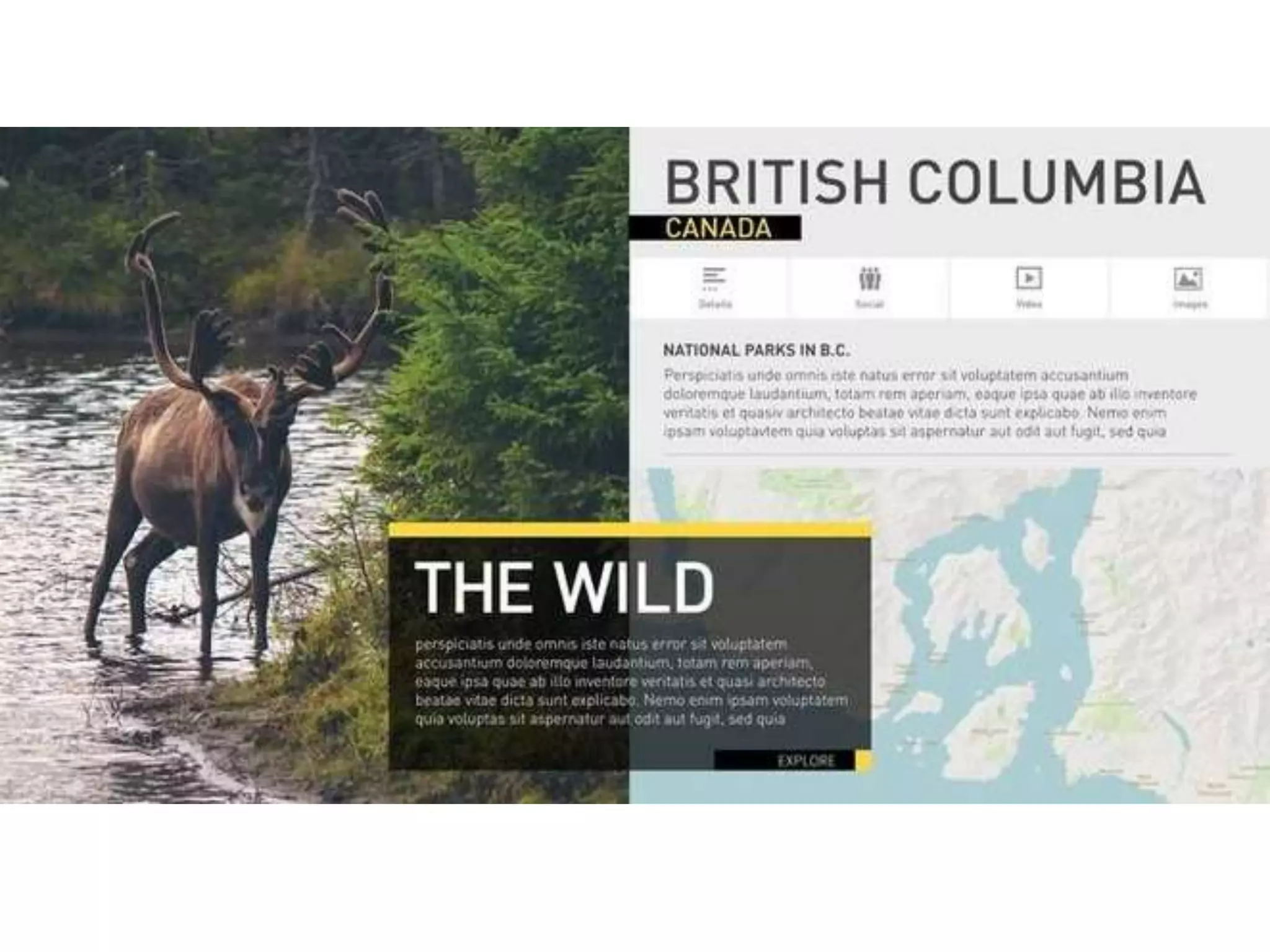 Graphic design composition