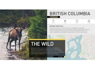 Graphic design composition | PPTX