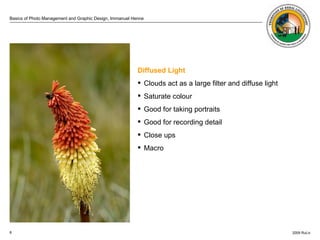 . Diffused Light Clouds act as a large filter and diffuse light Saturate colour Good for taking portraits Good for recording detail Close ups Macro 
