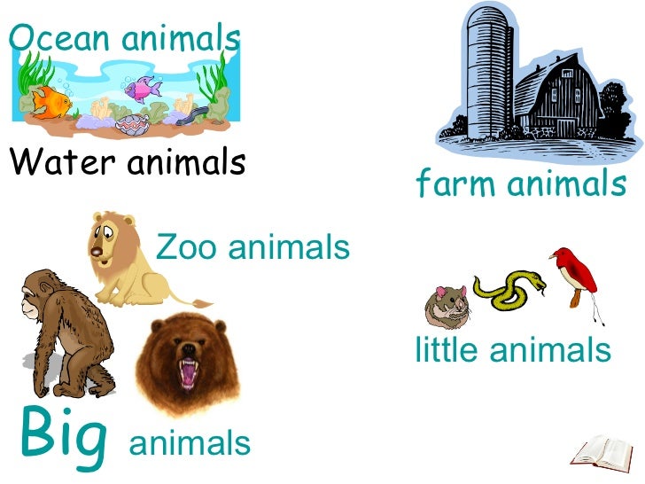 Graphic dictionary