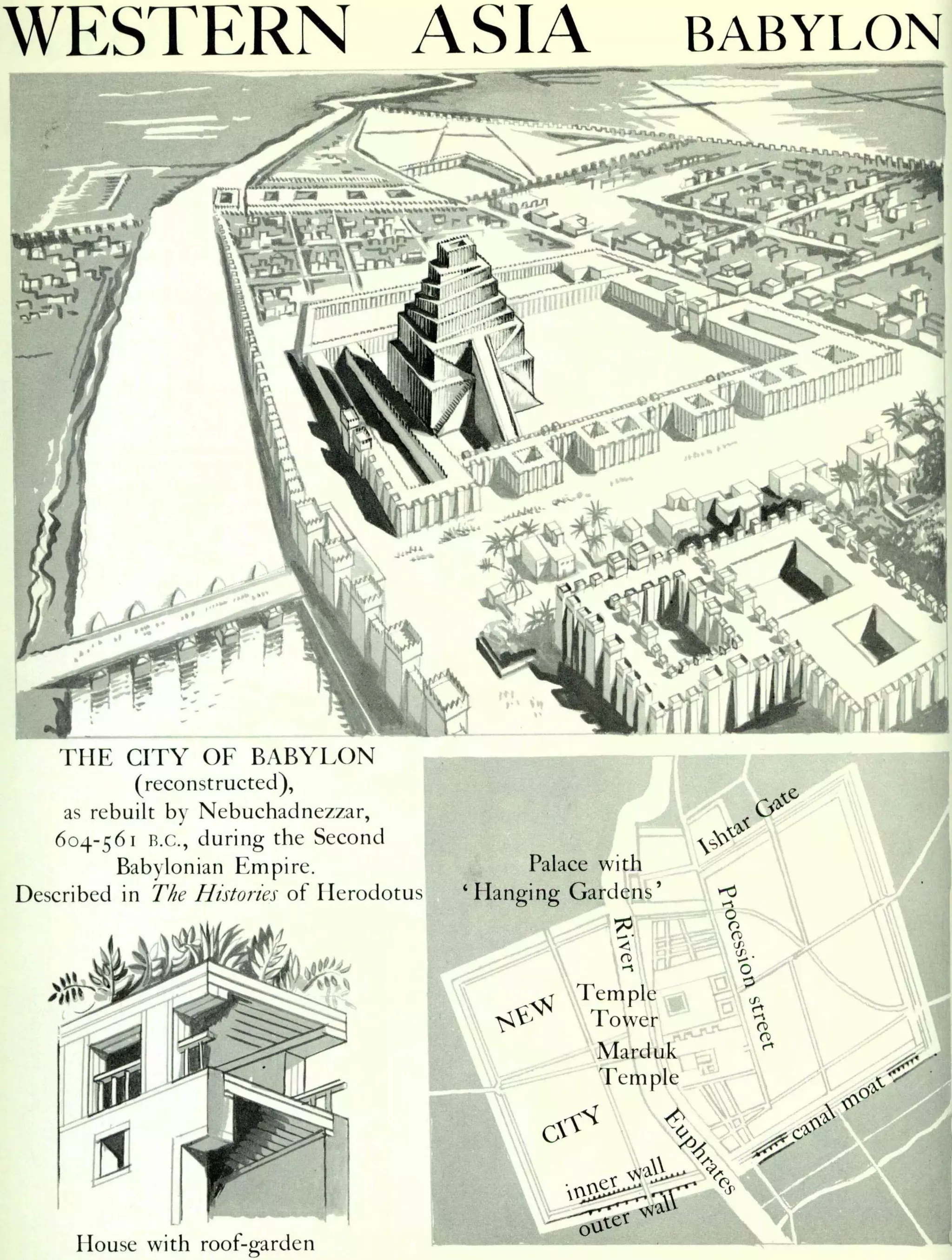 Graphic history of architecture
