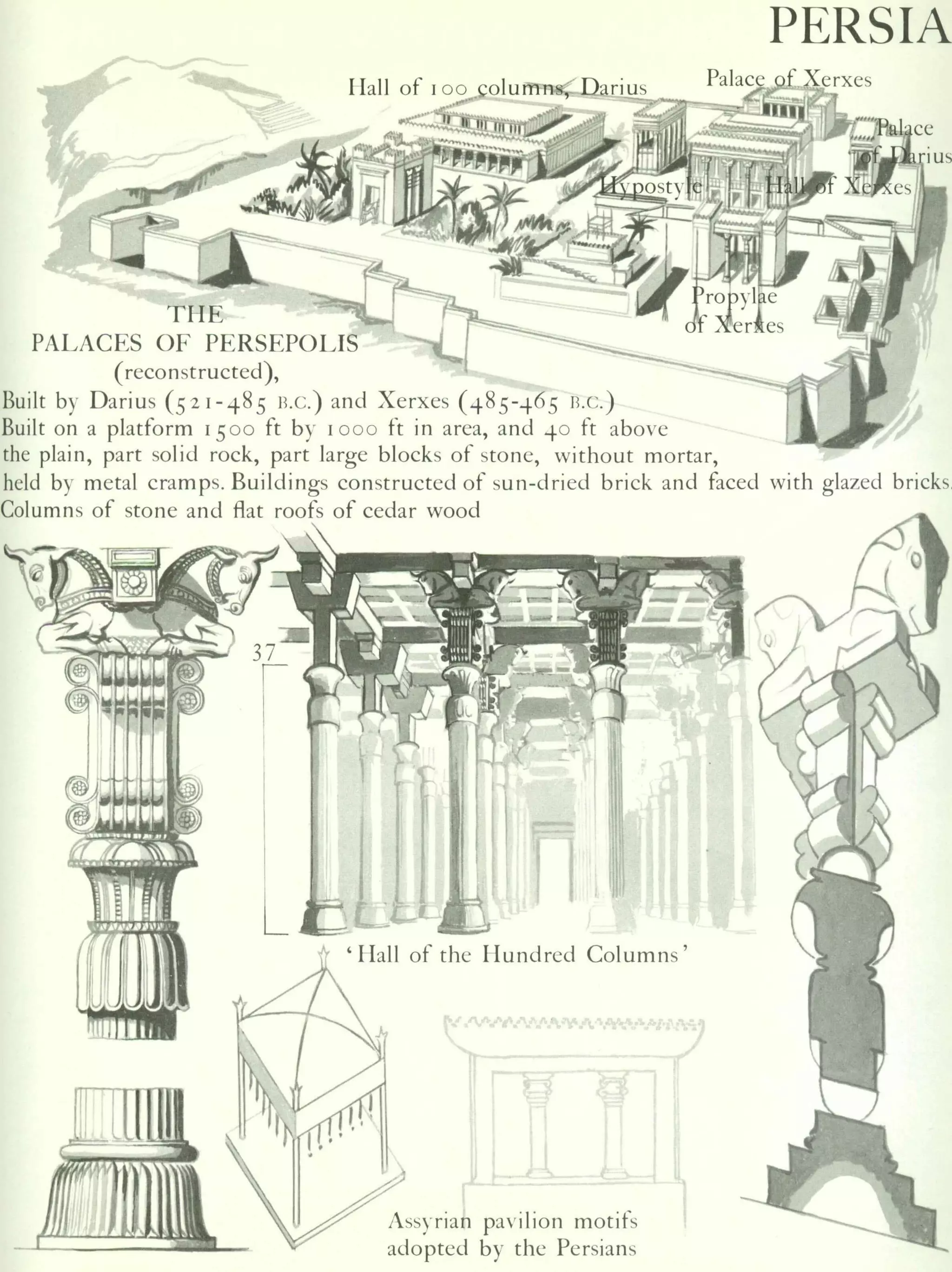 Graphic history of architecture