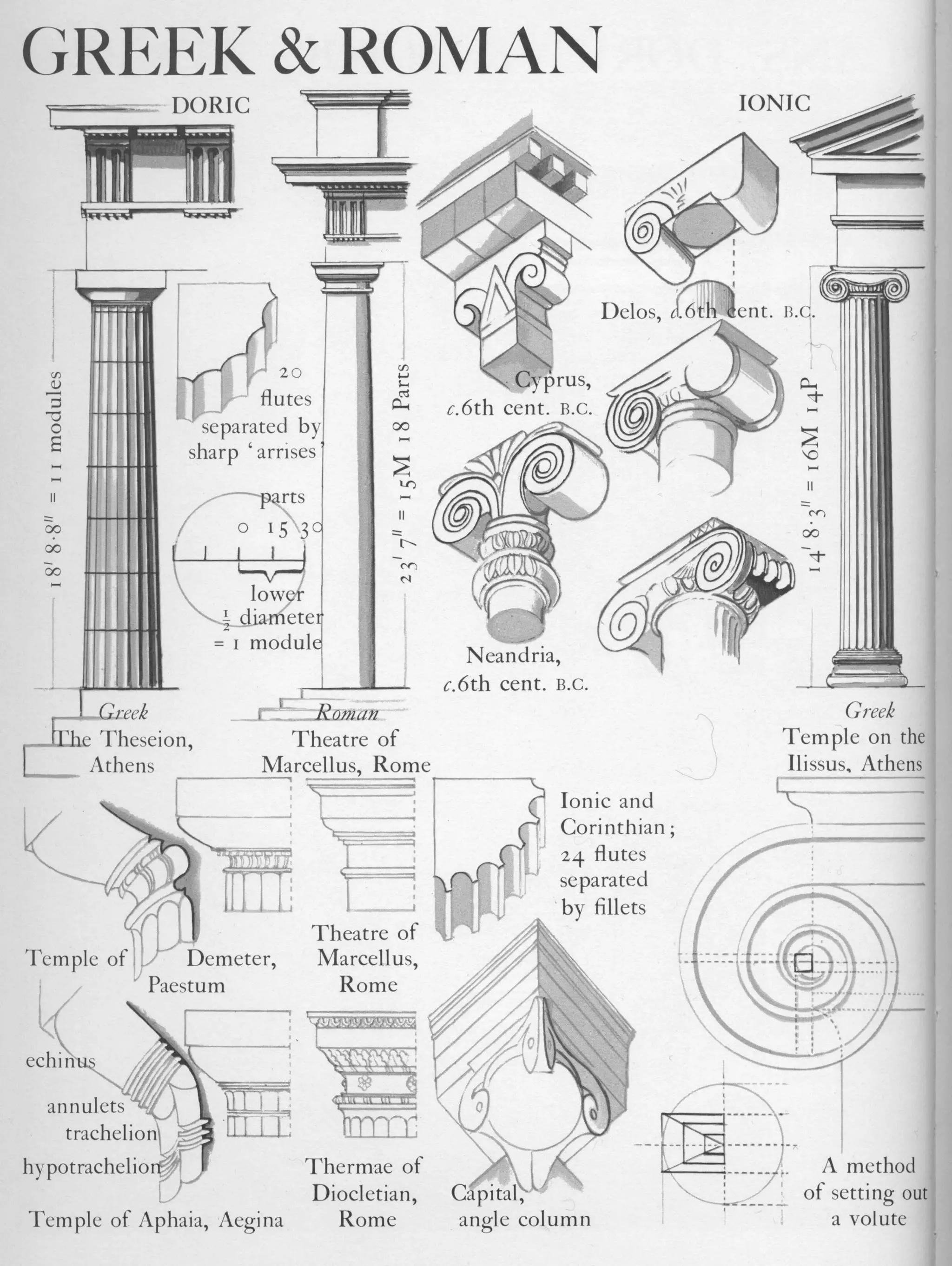Graphic history of architecture