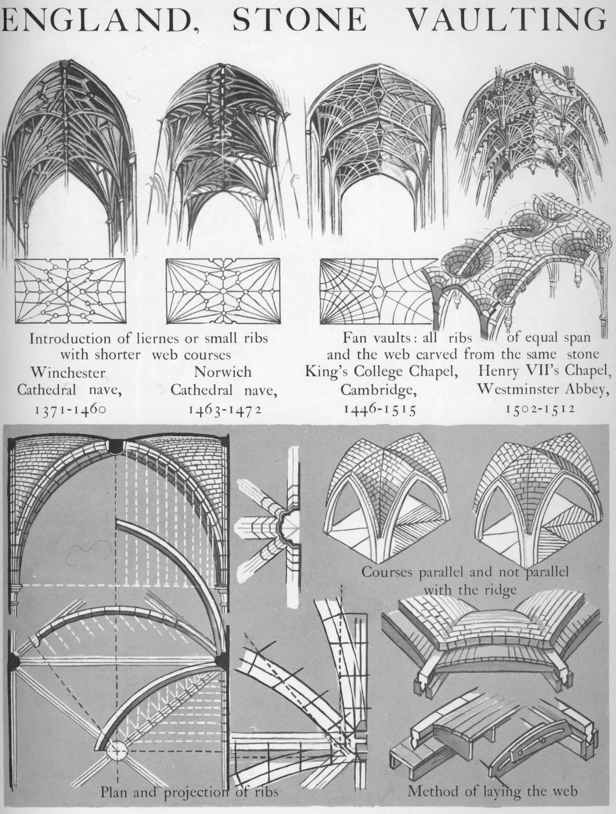 Graphic history of architecture