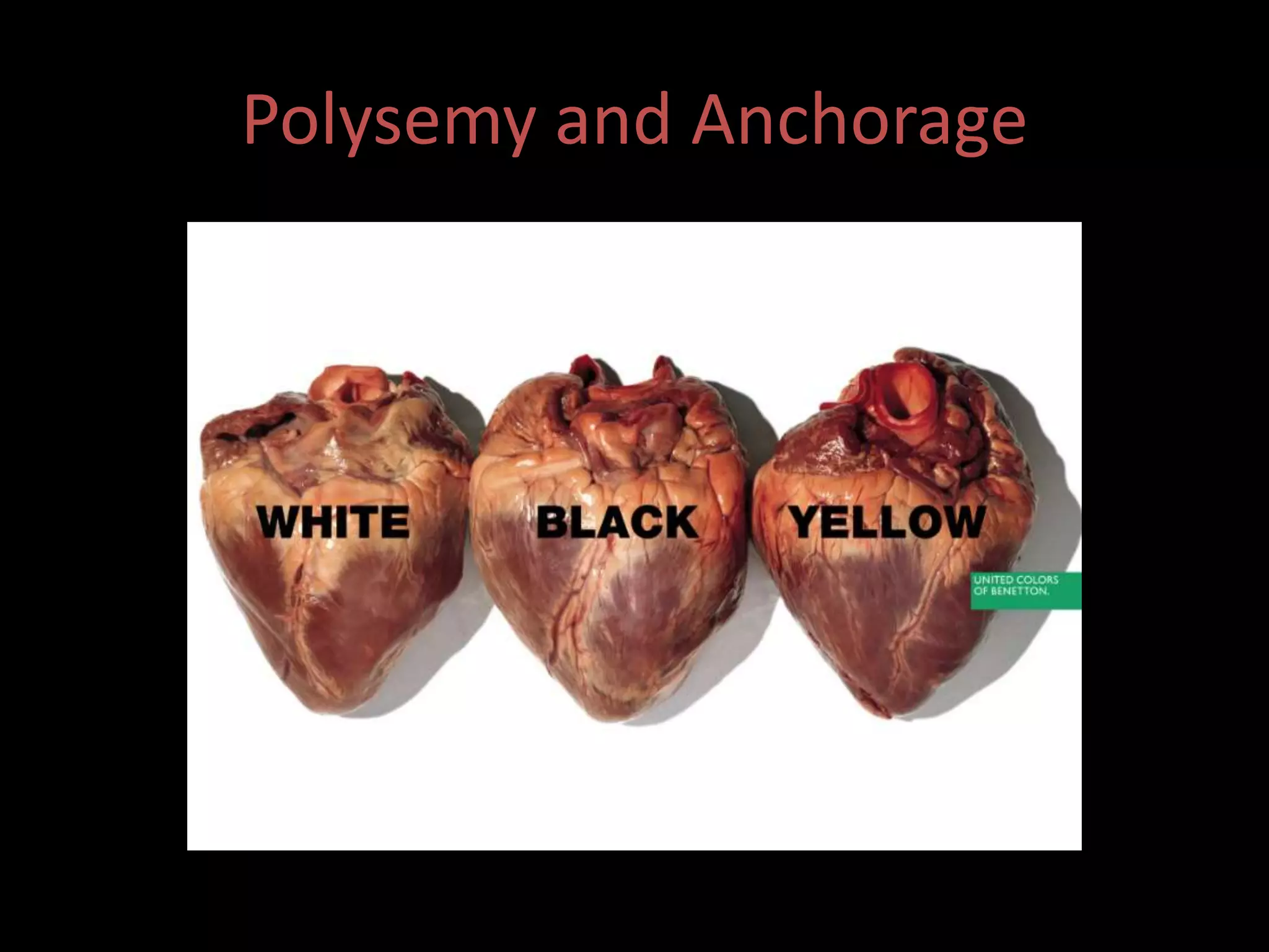 Polysemy and Anchorage 
 