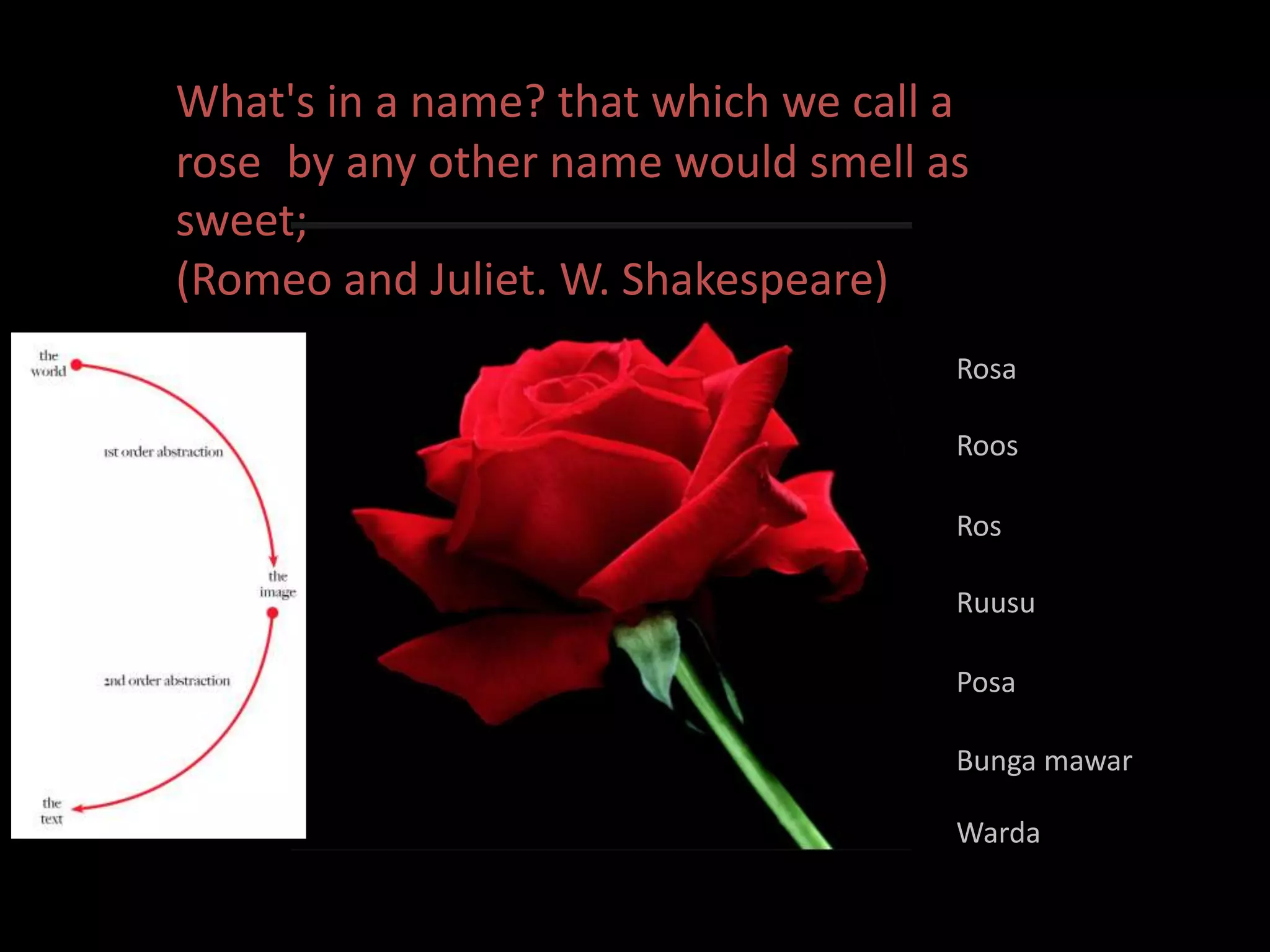 What's in a name? that which we call a 
rose by any other name would smell as 
sweet; 
(Romeo and Juliet. W. Shakespeare) 
Rosa 
Roos 
Ros 
Ruusu 
Posa 
Bunga mawar 
Warda 
 