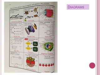 DIAGRAMS
 