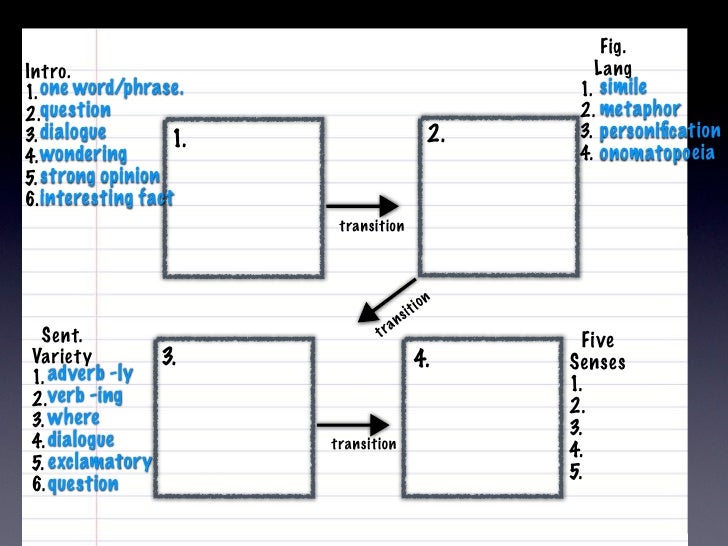 Graphic Organizer
