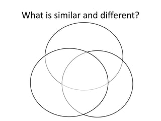 What is similar and different?
 