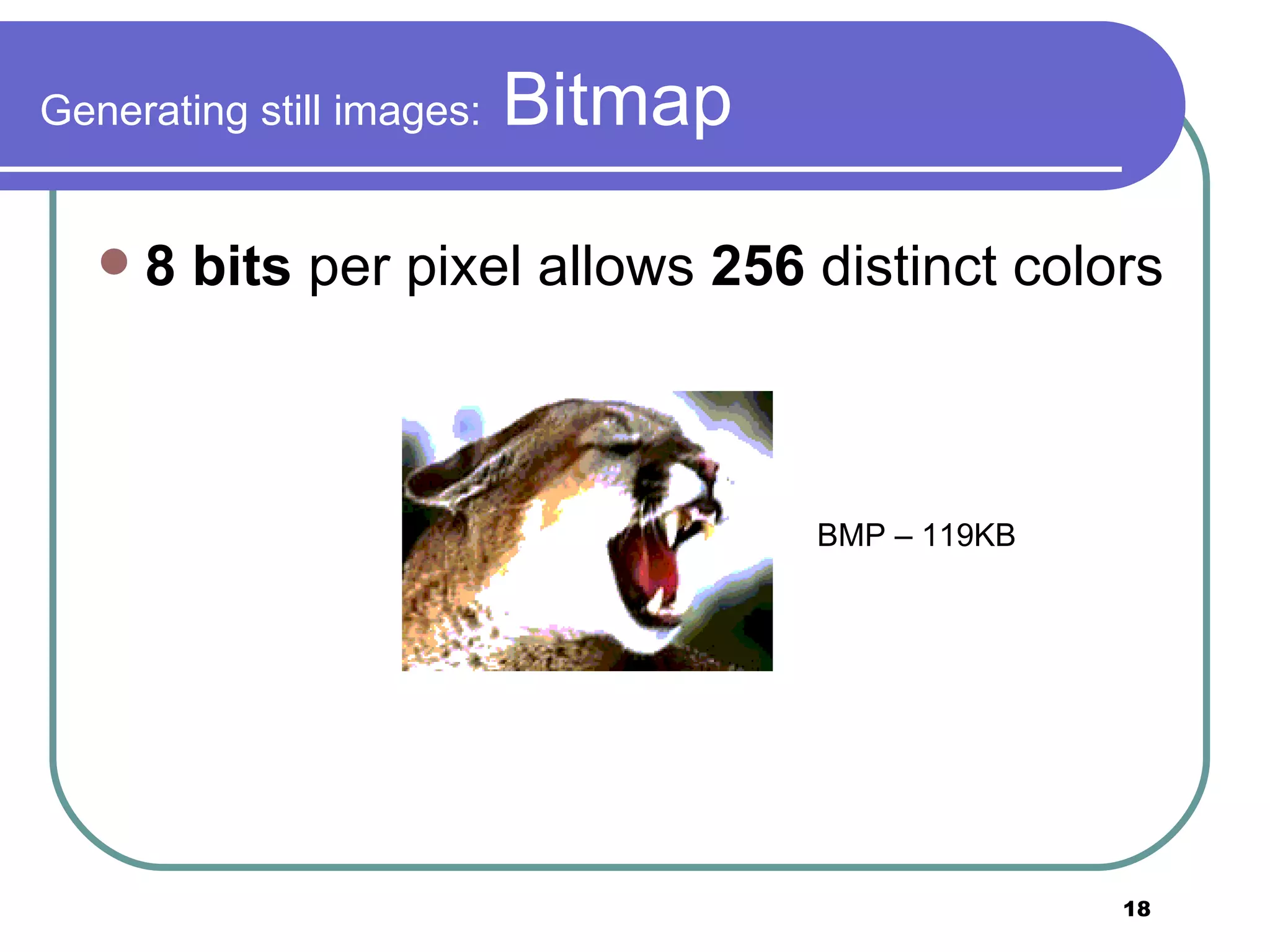 Generating still images:  Bitmap 8 bits  per pixel allows  256  distinct colors BMP – 119KB  