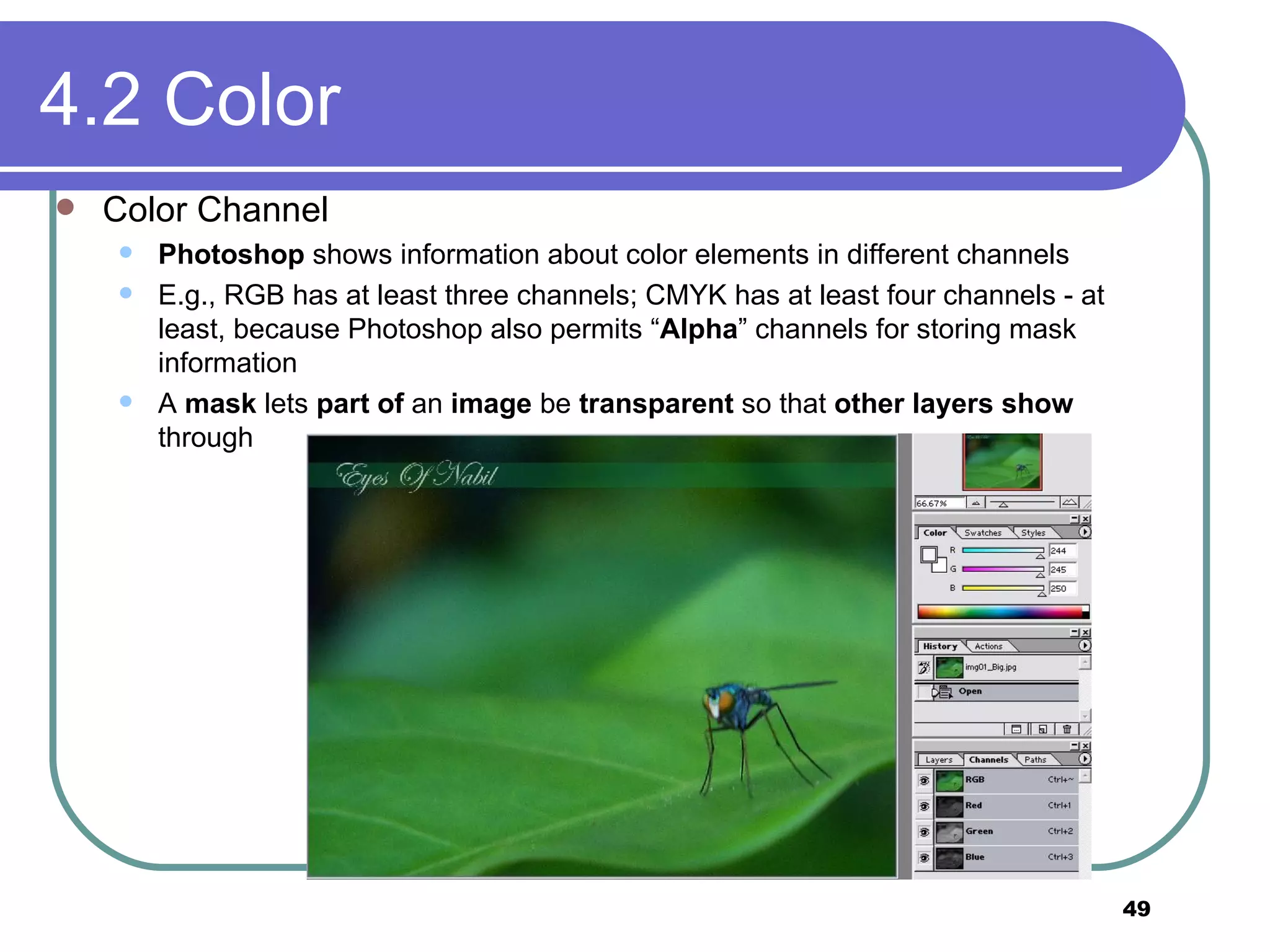 4.2 Color  Color Channel Photoshop  shows information about color elements in different channels E.g., RGB has at least three channels; CMYK has at least four channels - at least, because Photoshop also permits “ Alpha ” channels for storing mask information A  mask  lets  part of  an  image  be  transparent  so that  other   layers   show  through 