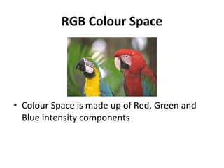 RGB Colour Space Colour Space is made up of Red, Green and Blue intensity components 