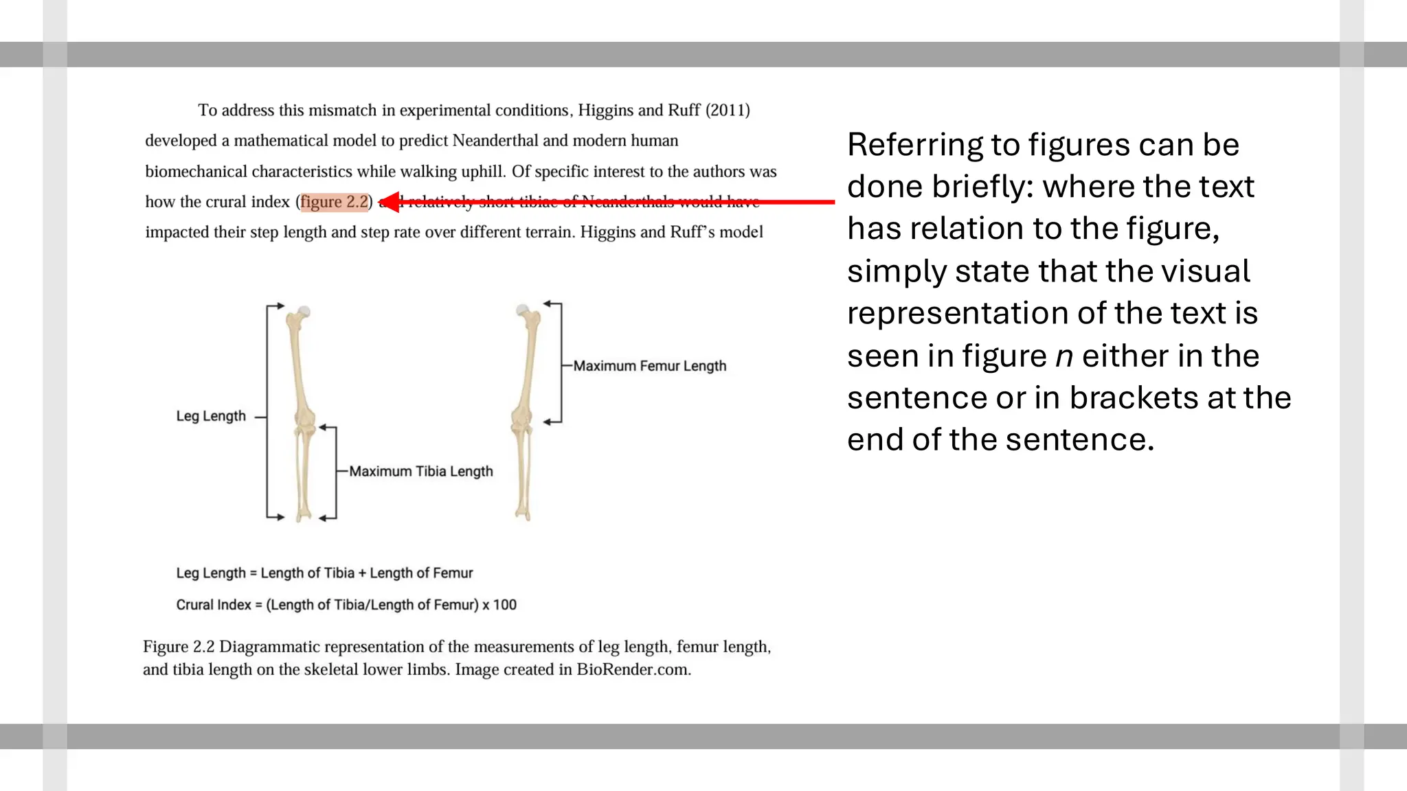 Referring to figures can be
done briefly: where the text
has relation to the figure,
simply state that the visual
representation of the text is
seen in figure n either in the
sentence or in brackets at the
end of the sentence.
 
