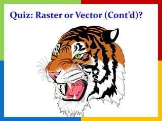 Quiz: Raster or Vector (Cont’d)?
 
