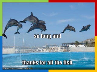 So long and thanks for all the
fish – Questions ...
 