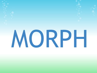 MORPH
 