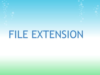 FILE EXTENSION
 