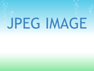 JPEG IMAGE
 