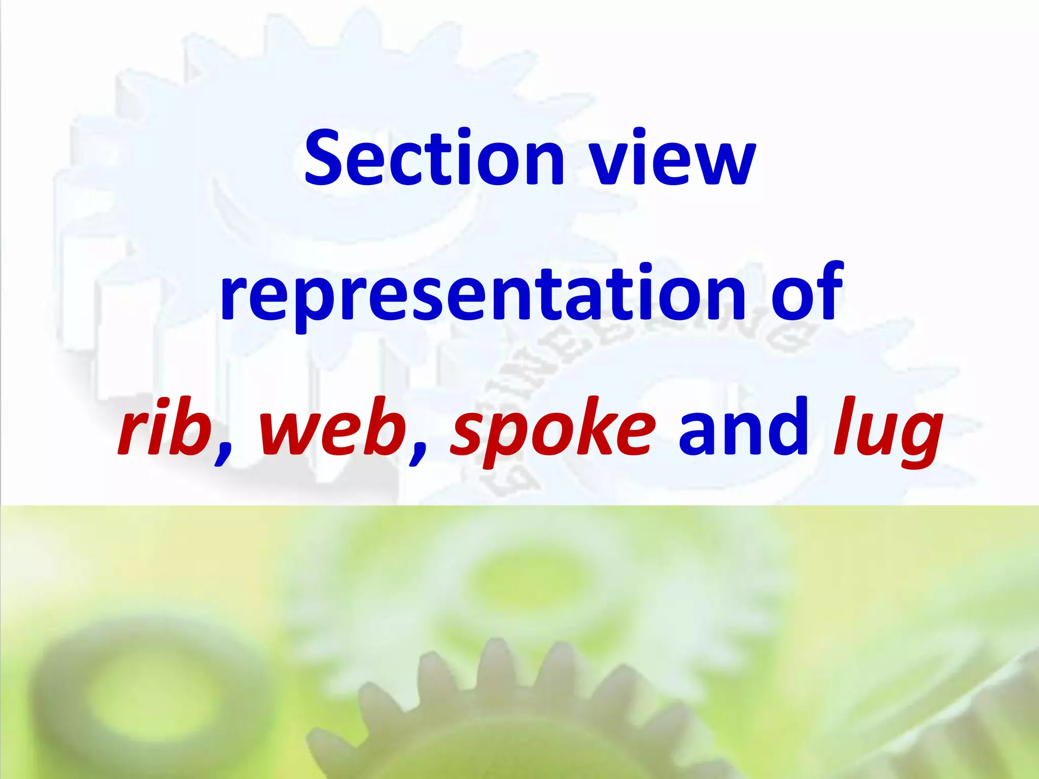 Section view
  representation of
rib, web, spoke and lug
 