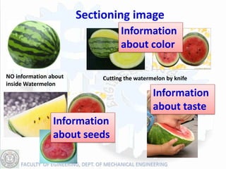 Sectioning image
                                 Information
                                 about color

NO information about       Cutting the watermelon by knife
inside Watermelon
                                             Information
                                             about taste
                Information
                about seeds
 