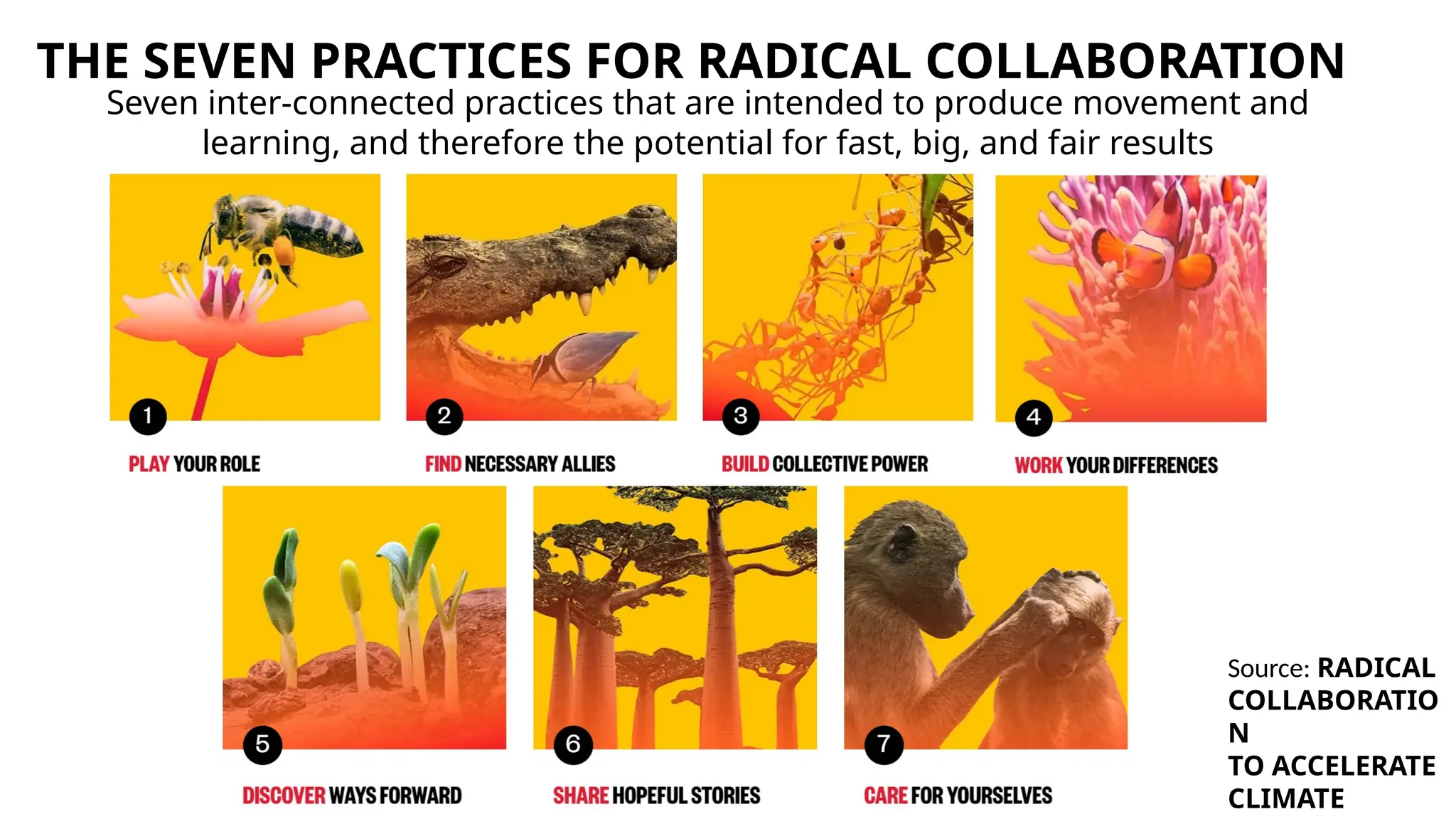 THE SEVEN PRACTICES FOR RADICAL COLLABORATION
Seven inter-connected practices that are intended to produce movement and
learning, and therefore the potential for fast, big, and fair results
Source: RADICAL
COLLABORATIO
N
TO ACCELERATE
CLIMATE
 