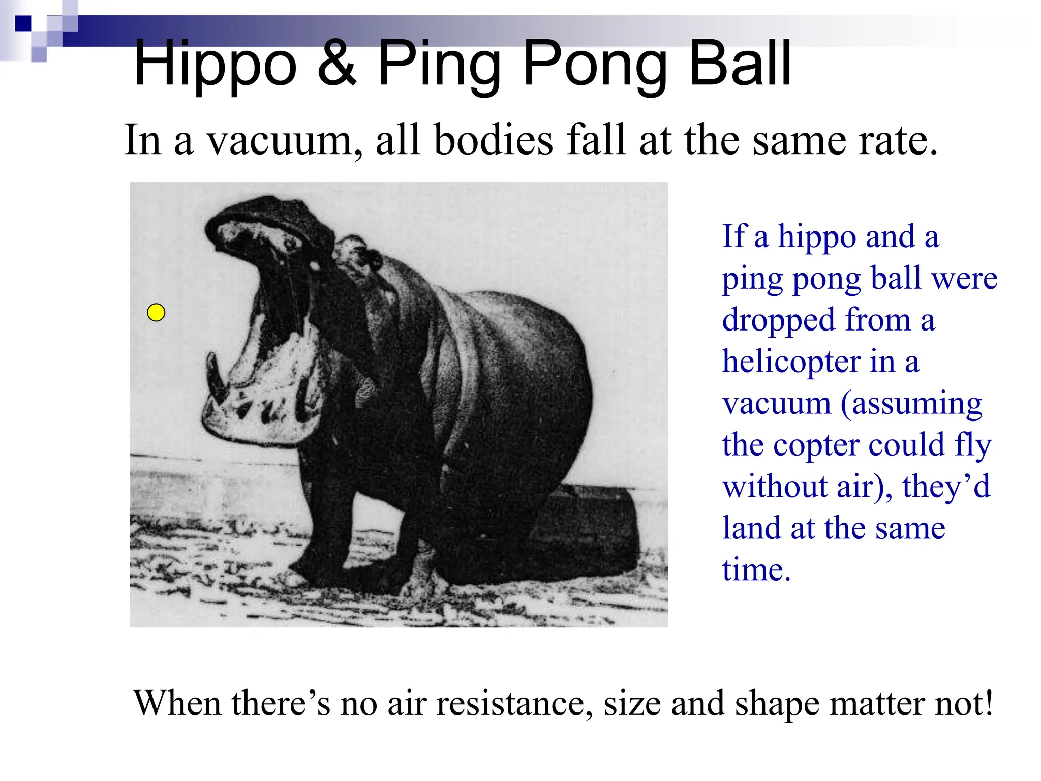 Hippo & Ping Pong Ball
In a vacuum, all bodies fall at the same rate.
When there’s no air resistance, size and shape matter not!
If a hippo and a
ping pong ball were
dropped from a
helicopter in a
vacuum (assuming
the copter could fly
without air), they’d
land at the same
time.
 