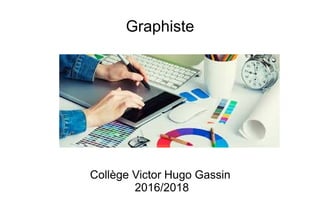 Graphiste
Collège Victor Hugo Gassin
2016/2018
;:
 