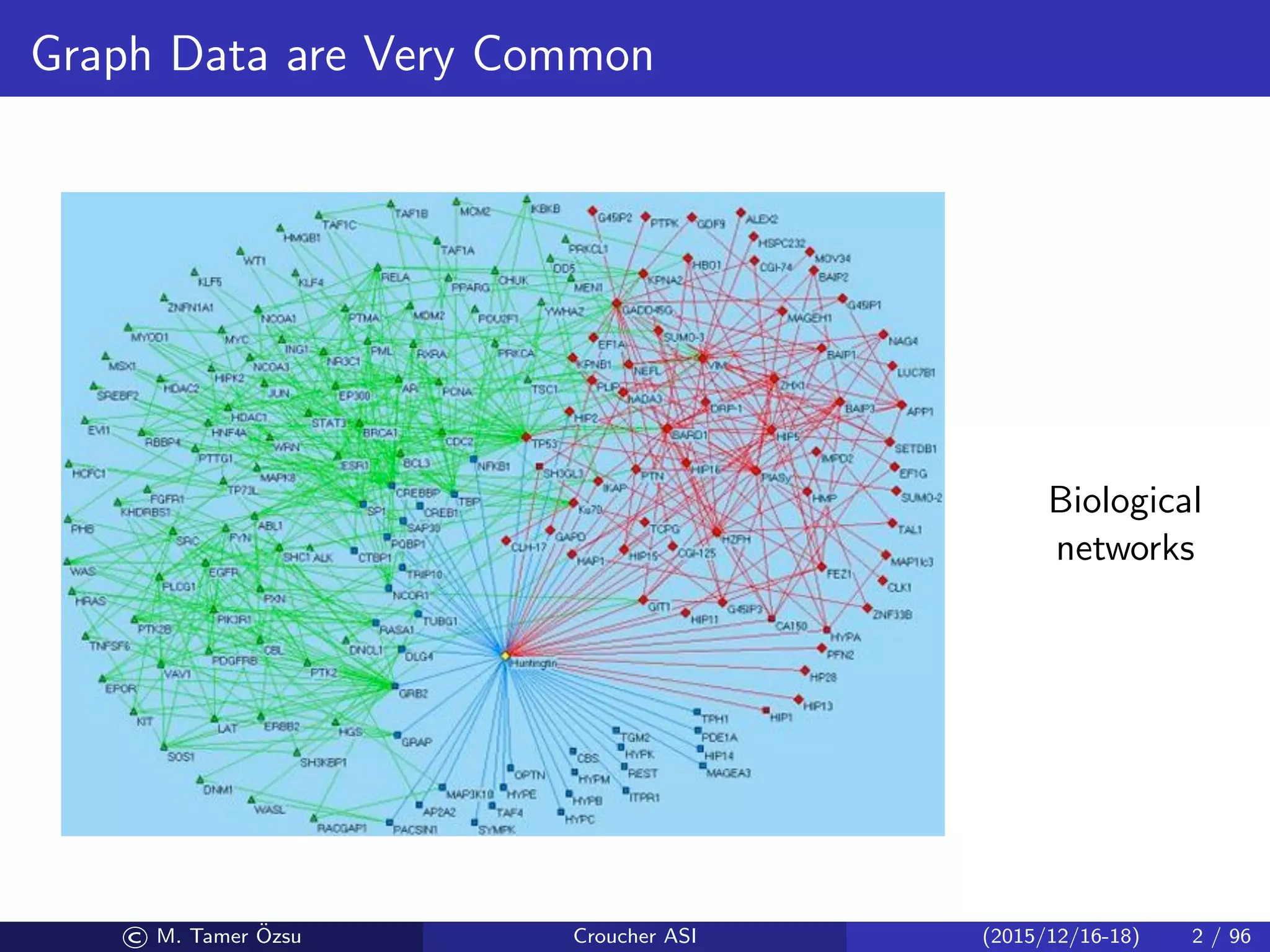Graph Data are Very Common
Biological
networks
© M. Tamer ¨Ozsu Croucher ASI (2015/12/16-18) 2 / 96
 