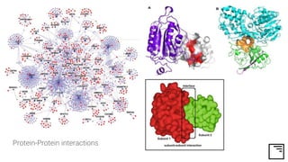 Protein-Protein interactions
 