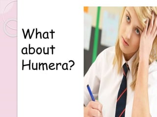 What
about
Humera?
222
 