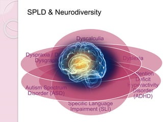 SPLD & Neurodiversity
Dyscalculia
Dyslexia
Attention
Deficit
Hyperactivity
Disorder
(ADHD)
Specific Language
Impairment (SLI)
Autism Spectrum
Disorder (ASD)
Dyspraxia / DCD &
Dysgraphia
 
