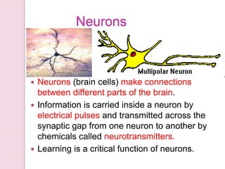 Neurons
 Neurons (brain cells) make connections
between different parts of the brain.
 Information is carried inside a neuron by
electrical pulses and transmitted across the
synaptic gap from one neuron to another by
chemicals called neurotransmitters.
 Learning is a critical function of neurons.
 