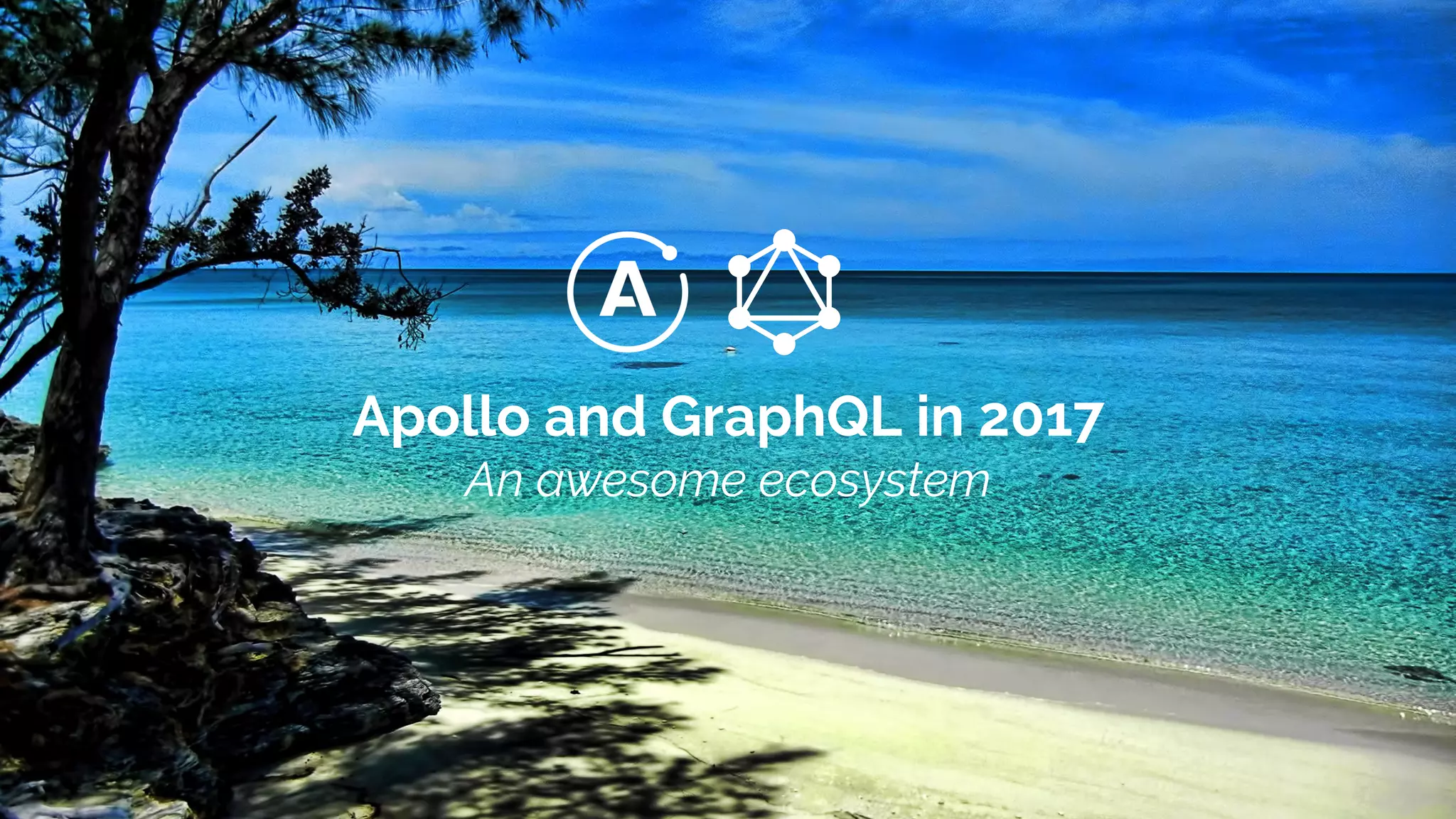 Apollo and GraphQL in 2017
An awesome ecosystem
 