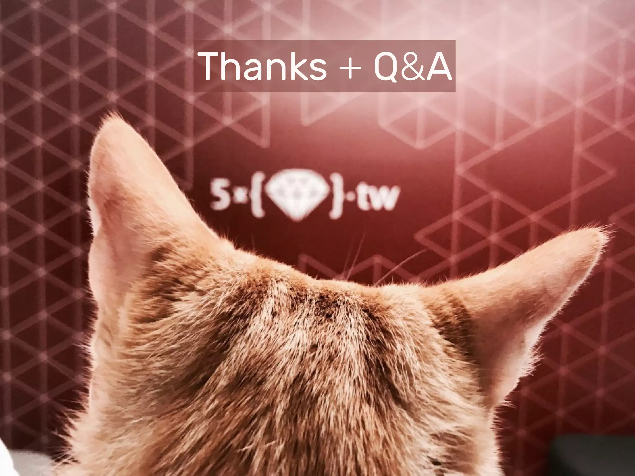 Thanks + Q&A
 