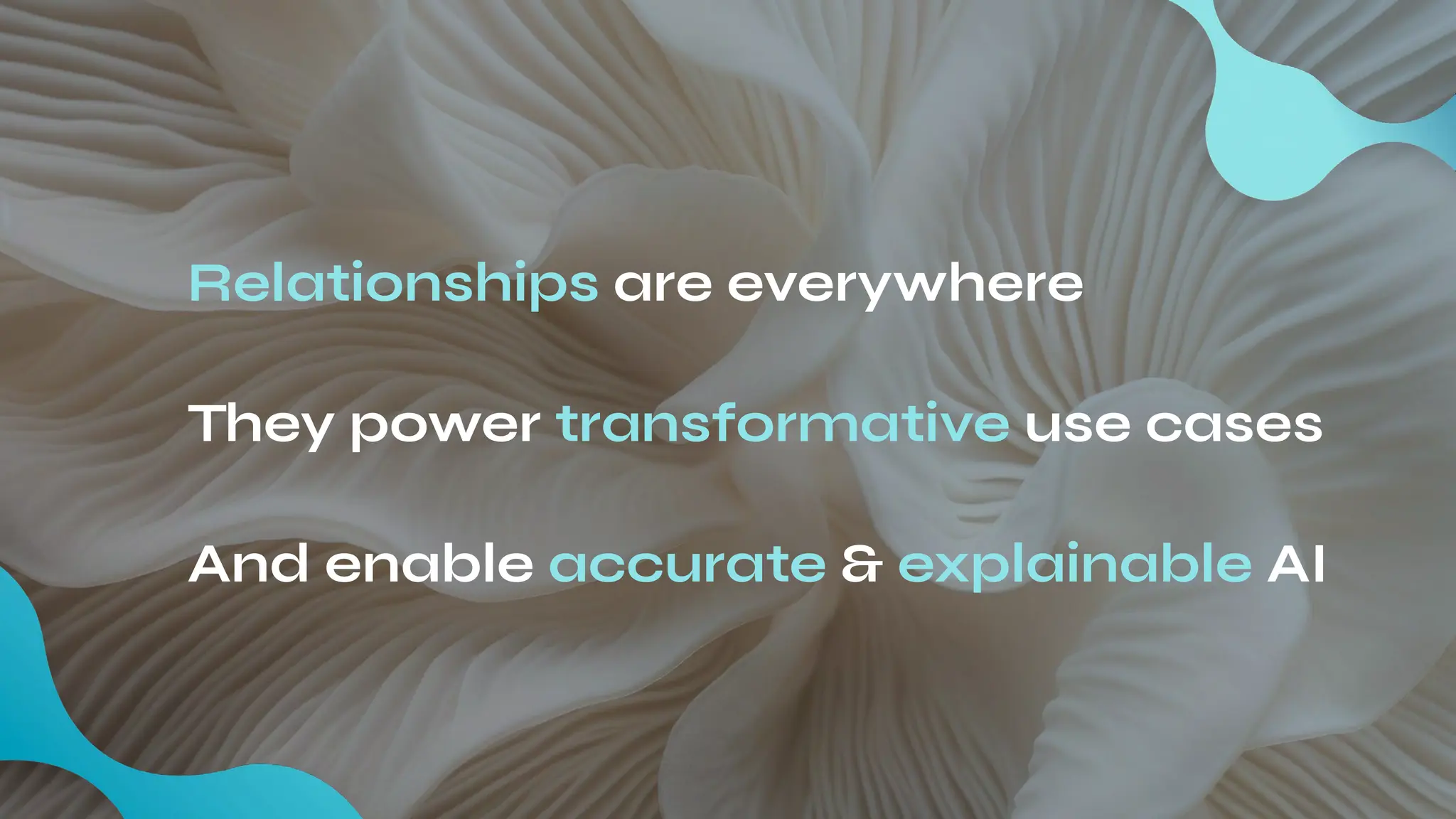 Relationships are everywhere
And enable accurate & explainable AI
They power transformative use cases
 