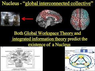 Consciousness, Graph theory and brain network tsc 2017 | PPTX