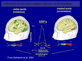 Consciousness, Graph theory and brain network tsc 2017 | PPTX