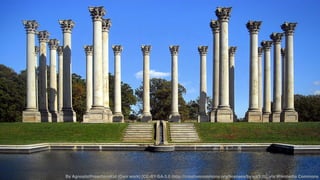 By AgnosticPreachersKid (Own work) [NCeoC Te-cBhnYol-oSgy, AInc- 3Co.n0fi d(ehnttiatlp://creativecommons.org/licenses/by-sa/3.0)], via Wikimedia Commons 
 