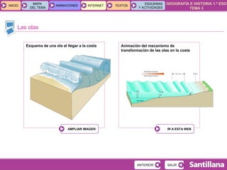 Las olas Esquema de una ola al llegar a la costa Animación del mecanismo de transformación de las olas en la costa 