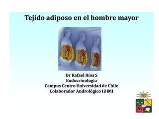 Tejido adiposo en el hombre mayor
Dr Rafael Ríos S
Endocrinología
Campus Centro Universidad de Chile
Colaborador Andrológico IDIMI
 