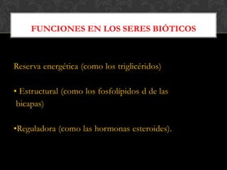 FUNCIONES EN LOS SERES BIÓTICOS

Reserva energética (como los triglicéridos)
• Estructural (como los fosfolípidos d de las
bicapas)
•Reguladora (como las hormonas esteroides).

 