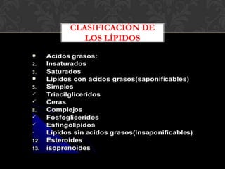CLASIFICACIÓN DE
LOS LÍPIDOS

 